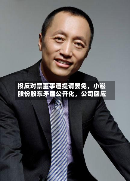 投反对票董事遭提请罢免，小崧股份股东矛盾公开化，公司回应-第3张图片