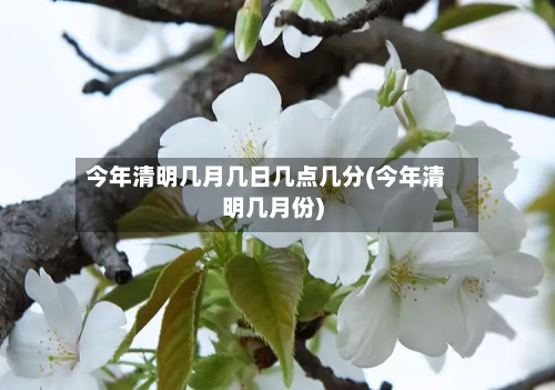 今年清明几月几日几点几分(今年清明几月份)-第2张图片