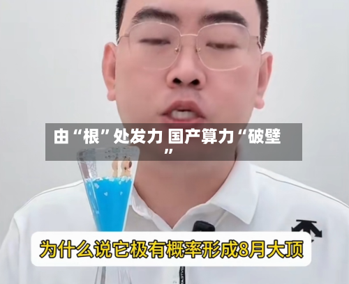 由“根”处发力 国产算力“破壁	”-第3张图片