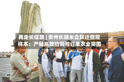 再走长征路 | 贵州长顺米企跃迁微观样本:产储高效协同与订单农业突围-第2张图片