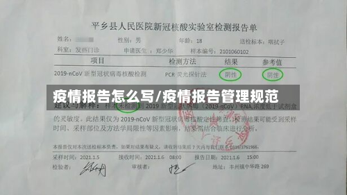 疫情报告怎么写/疫情报告管理规范-第2张图片