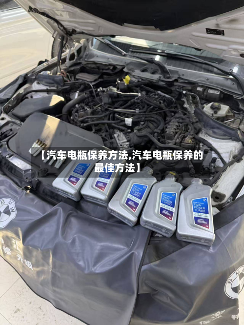 【汽车电瓶保养方法,汽车电瓶保养的最佳方法】