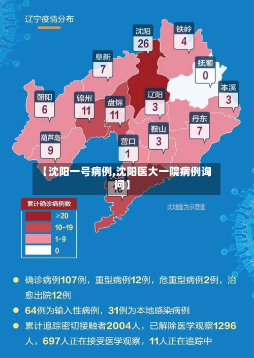 【沈阳一号病例,沈阳医大一院病例询问】