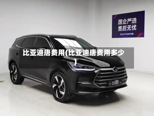 比亚迪唐费用(比亚迪唐费用多少)