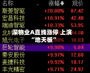 深物业A直线涨停 上演“地天板”-第3张图片