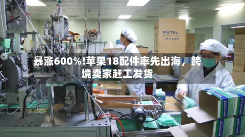 暴涨600%!苹果18配件率先出海，跨境卖家赶工发货-第3张图片