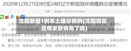 沈阳新增1例本土确诊病例(沈阳现在是爆发新病毒了吗)-第2张图片
