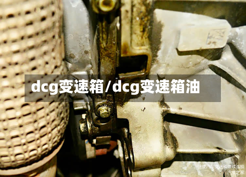 dcg变速箱/dcg变速箱油-第2张图片