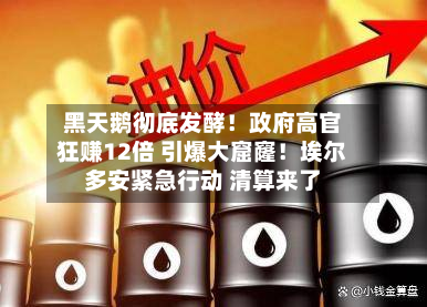 黑天鹅彻底发酵！政府高官狂赚12倍 引爆大窟窿！埃尔多安紧急行动 清算来了