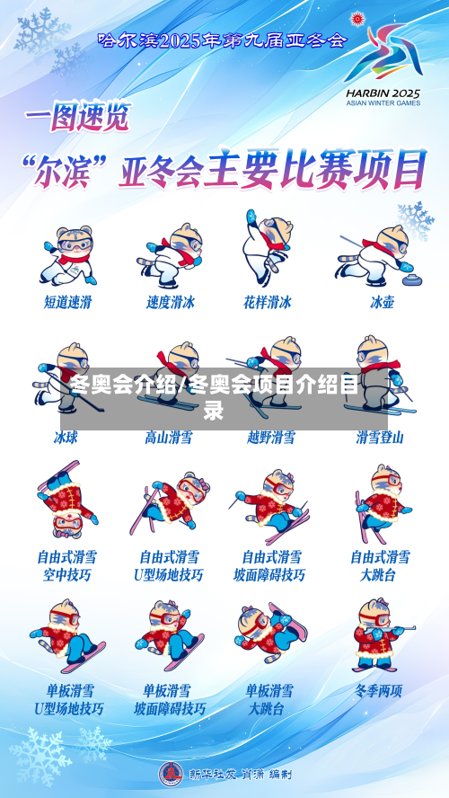 冬奥会介绍/冬奥会项目介绍目录