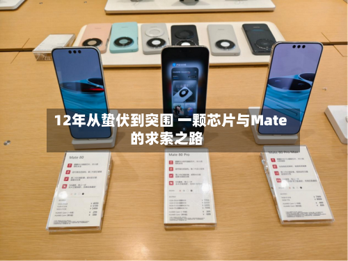 12年从蛰伏到突围 一颗芯片与Mate的求索之路