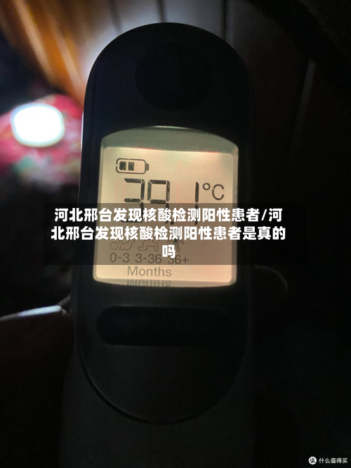 河北邢台发现核酸检测阳性患者/河北邢台发现核酸检测阳性患者是真的吗-第2张图片