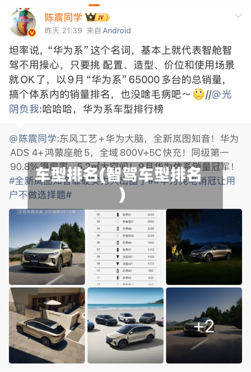 车型排名(智驾车型排名)