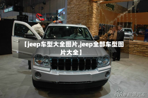 【jeep车型大全图片,jeep全部车型图片大全】-第3张图片
