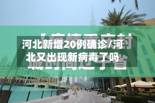 河北新增20例确诊/河北又出现新病毒了吗