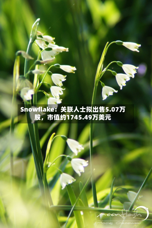 Snowflake：关联人士拟出售5.07万股，市值约1745.49万美元-第2张图片