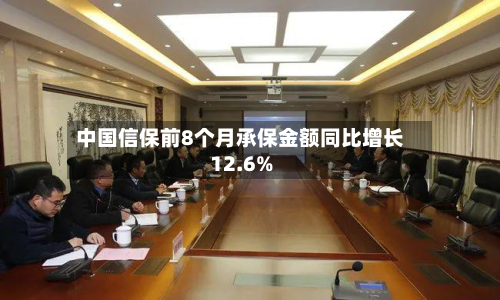 中国信保前8个月承保金额同比增长12.6%
