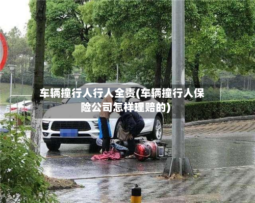 车辆撞行人行人全责(车辆撞行人保险公司怎样理赔的)-第2张图片