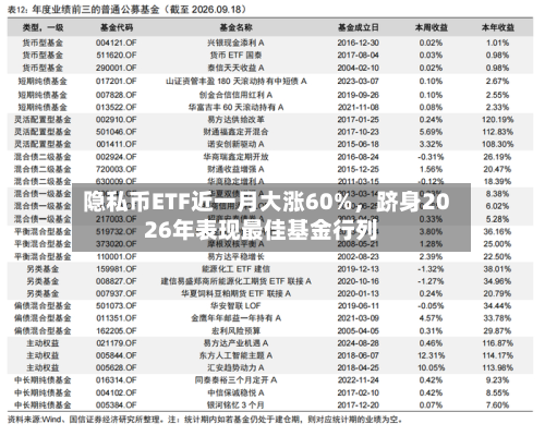 隐私币ETF近一月大涨60%，跻身2026年表现最佳基金行列-第3张图片