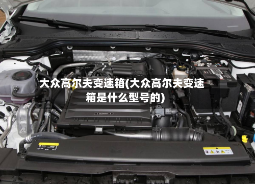 大众高尔夫变速箱(大众高尔夫变速箱是什么型号的)