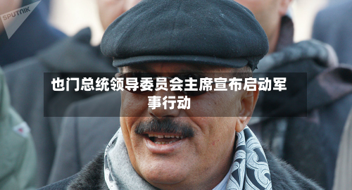 也门总统领导委员会主席宣布启动军事行动