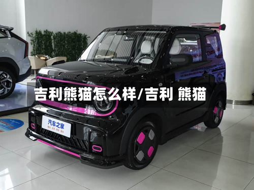 吉利熊猫怎么样/吉利 熊猫