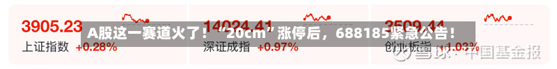 A股这一赛道火了！“20cm”涨停后	，688185紧急公告！-第1张图片