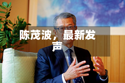 陈茂波	，最新发声-第2张图片