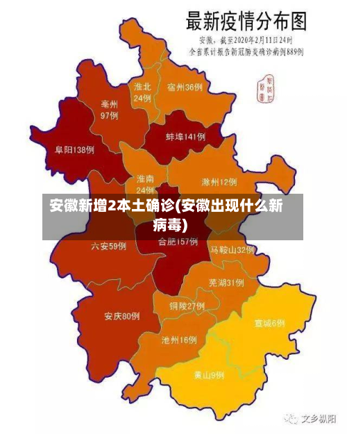 安徽新增2本土确诊(安徽出现什么新病毒)