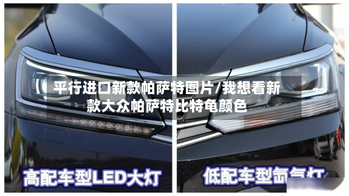 平行进口新款帕萨特图片/我想看新款大众帕萨特比特龟颜色-第3张图片