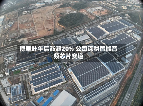 傅里叶午后涨超20% 公司深耕智能音频芯片赛道-第1张图片