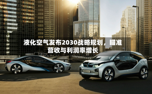 液化空气发布2030战略规划，瞄准营收与利润率增长