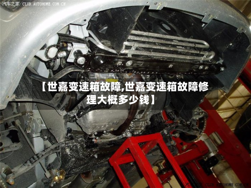 【世嘉变速箱故障,世嘉变速箱故障修理大概多少钱】-第2张图片