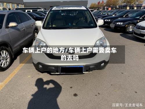 车辆上户的地方/车辆上户需要卖车的去吗