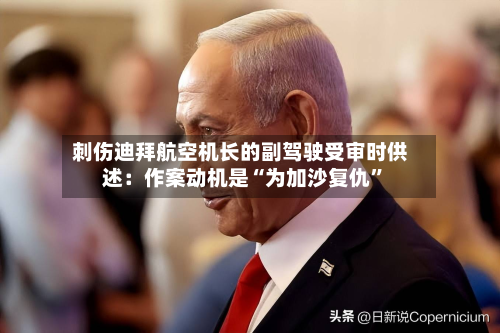 刺伤迪拜航空机长的副驾驶受审时供述：作案动机是“为加沙复仇”