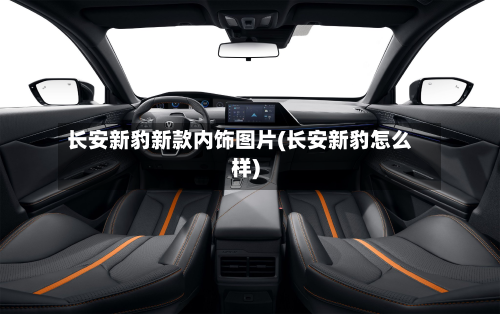 长安新豹新款内饰图片(长安新豹怎么样)-第2张图片