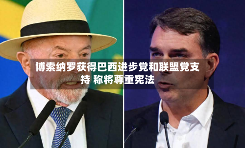 博索纳罗获得巴西进步党和联盟党支持 称将尊重宪法