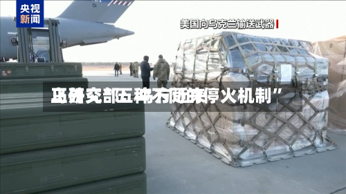 乌外交部：乌方近来正研究“五种不同的停火机制”