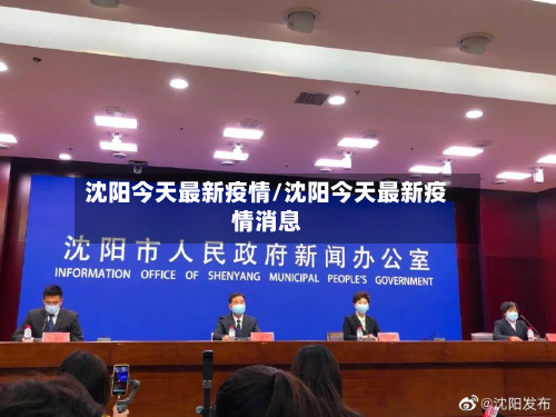 沈阳今天最新疫情/沈阳今天最新疫情消息-第3张图片