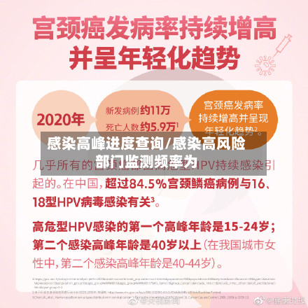 感染高峰进度查询/感染高风险部门监测频率为