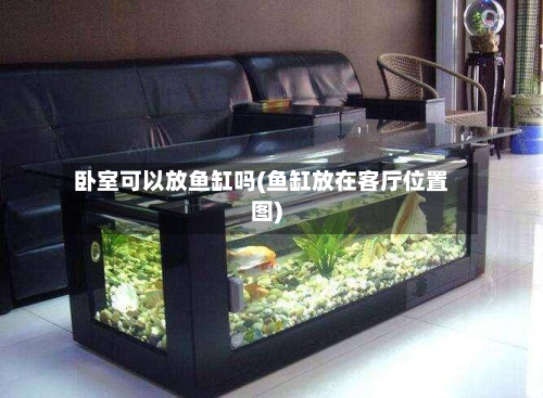 卧室可以放鱼缸吗(鱼缸放在客厅位置图)