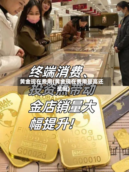 黄金现在费用(黄金现在费用是高还是低)