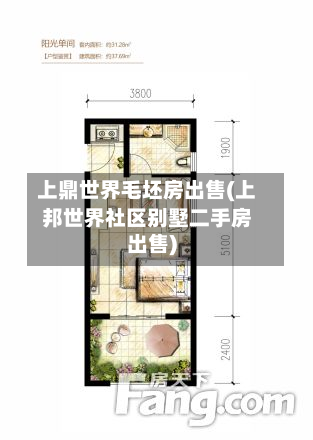 上鼎世界毛坯房出售(上邦世界社区别墅二手房出售)-第2张图片