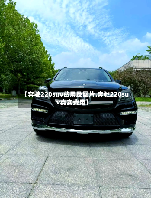 【奔驰220suv费用及图片,奔驰220suv真实费用】-第3张图片