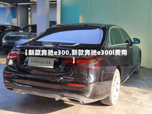 【新款奔驰e300,新款奔驰e300l费用】-第2张图片