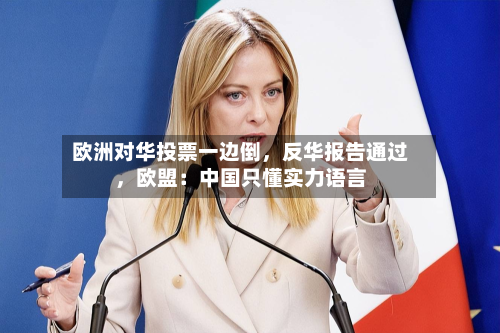 欧洲对华投票一边倒，反华报告通过，欧盟：中国只懂实力语言-第3张图片