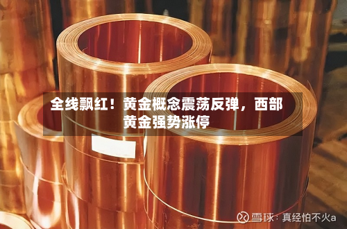 全线飘红！黄金概念震荡反弹	，西部黄金强势涨停-第2张图片