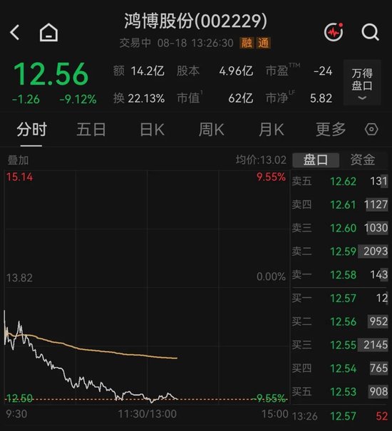 算力租赁人气股	，逼近跌停