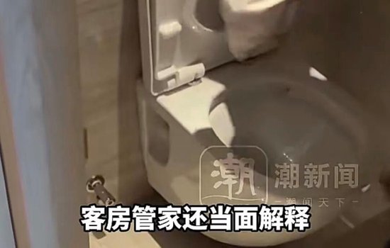 太炸裂！千元档豪华酒店被曝保洁员用刷过马桶的刷子清洁坐垫，用马桶水洗手后整理床单	、枕头……