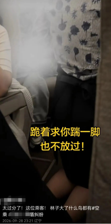 “要让肇事者付出代价！	”东航就“空姐下跪事件”报案，六成网友支持“应加大惩戒辱骂者”